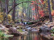 Tonto National Forest
