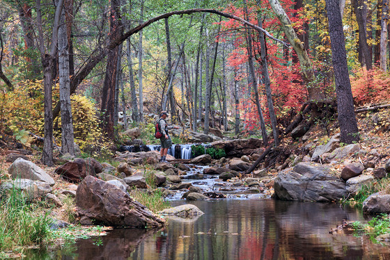 Tonto National Forest