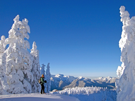 Olympic National Park