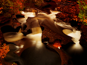 Ottowa National Forest