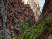 Zion National Park
