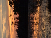 Big Branch National Wildlife Refuge