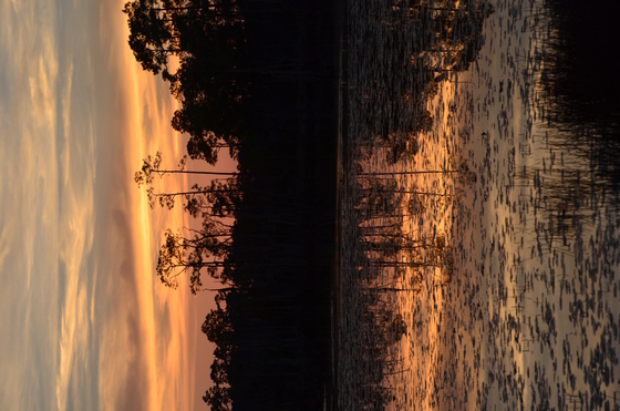 Big Branch National Wildlife Refuge