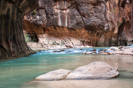 Zion National Park
