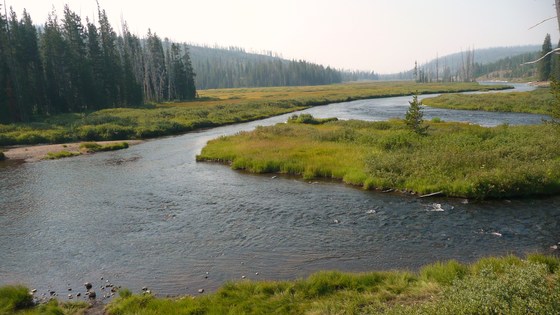 Yellowstone National Park