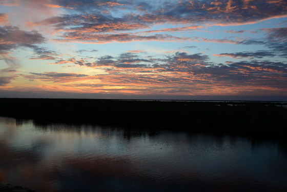 Big Branch National Wildlifer Refuge