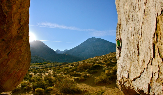 Buttermilks Boshop, ca