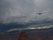 Grand Canyon National Park