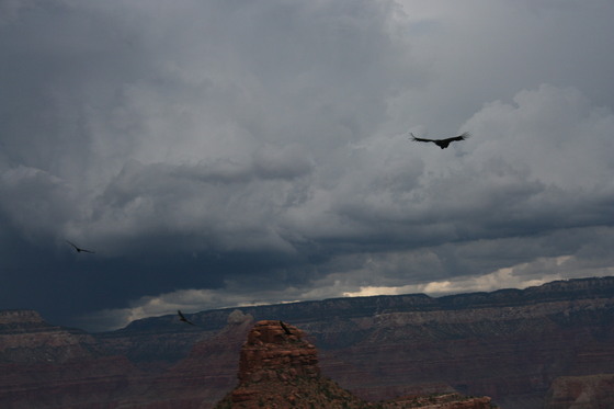 Grand Canyon National Park