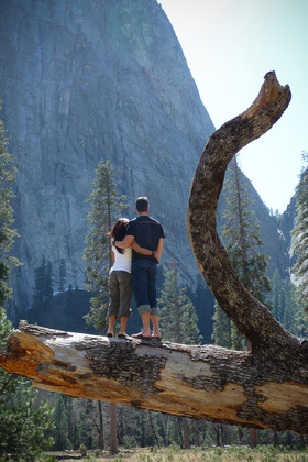 Yosemite National Park