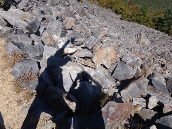 Shenandoah National Park