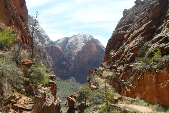 Zion National Park