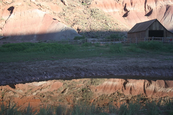 Capitol Reef National Park