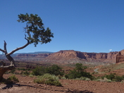 Capitol Reef National Park