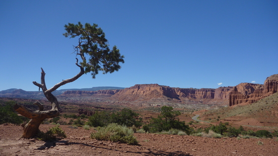 Capitol Reef National Park