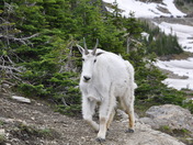 Glacier National Park