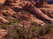 Arches National Park, UT
