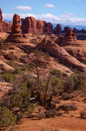 Arches National Park, UT