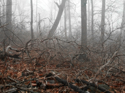 Delaware Water Gap Recreation Area