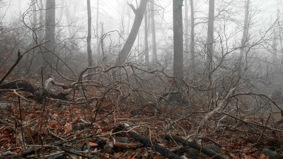 Delaware Water Gap Recreation Area