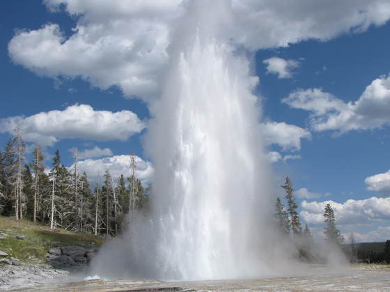 Yellowstone National Park