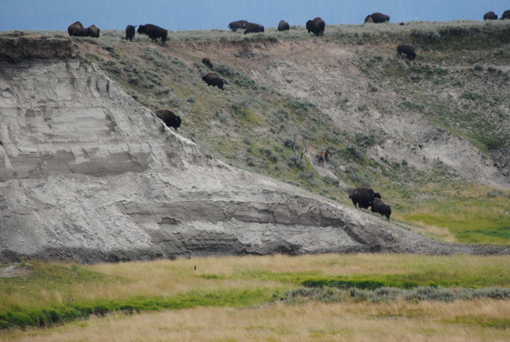 Yellowstone National Park