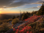 Acadia National Park