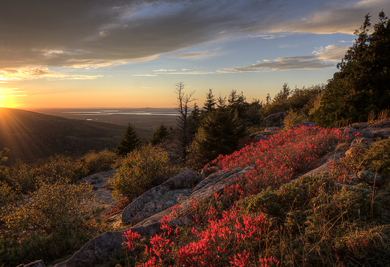 Acadia National Park