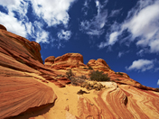 North Coyote Buttes, Arizona