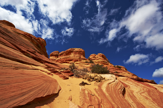 North Coyote Buttes, Arizona