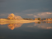 Lake Ouachita National Forest