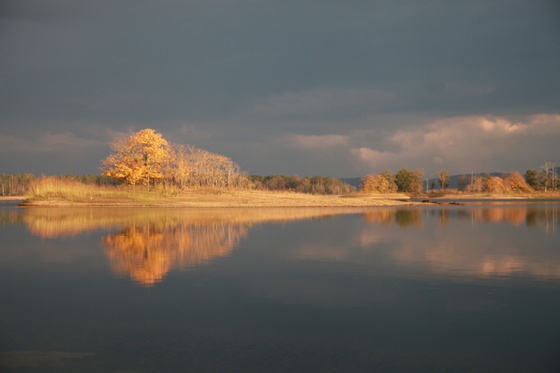 Lake Ouachita National Forest