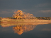 Lake Ouachita National Forest
