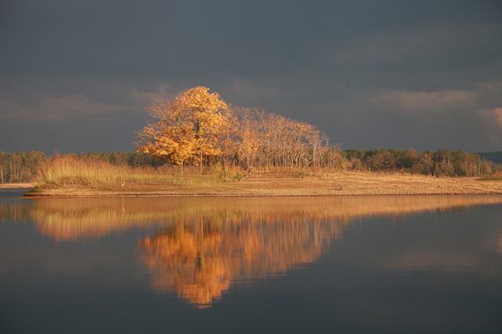 Lake Ouachita National Forest