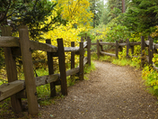 Kings Canyon National Park
