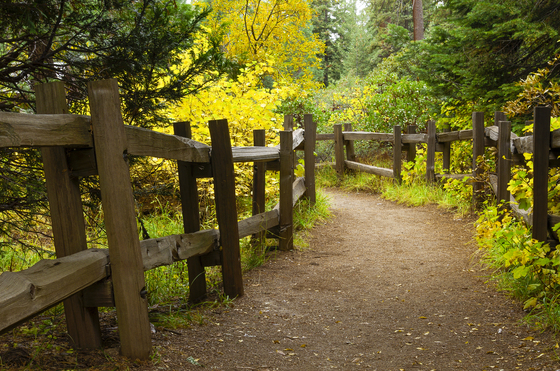 Kings Canyon National Park