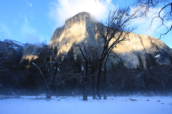 Yosemite National Park