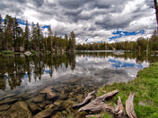 Inyo National Forest