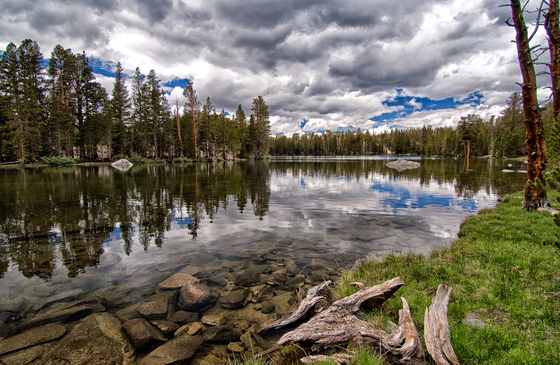 Inyo National Forest