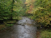 Catoctin Mountain Park