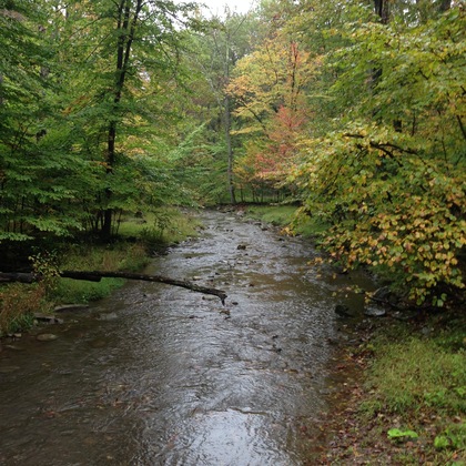 Catoctin Mountain Park