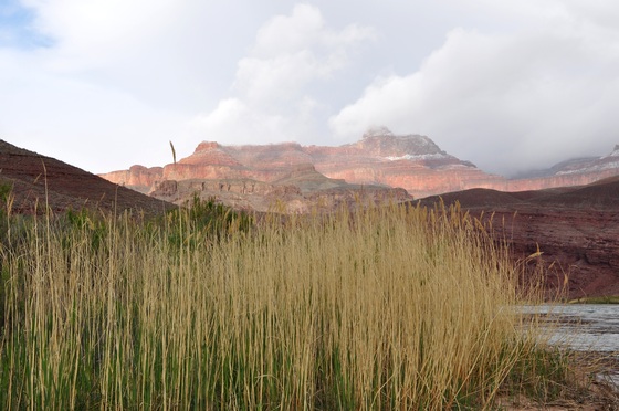 Grand Canyon National Park