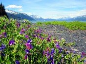 Kenai Fjords National Park