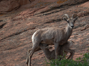 Colorado National Monument