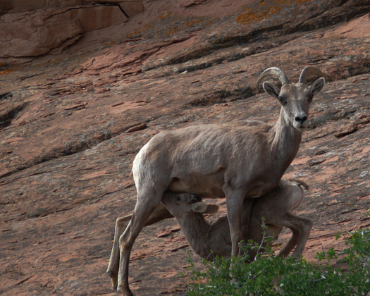 Colorado National Monument