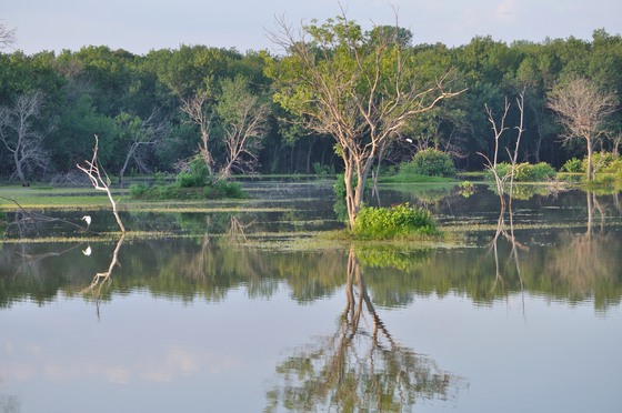 Hagerman National Wildlife refuge