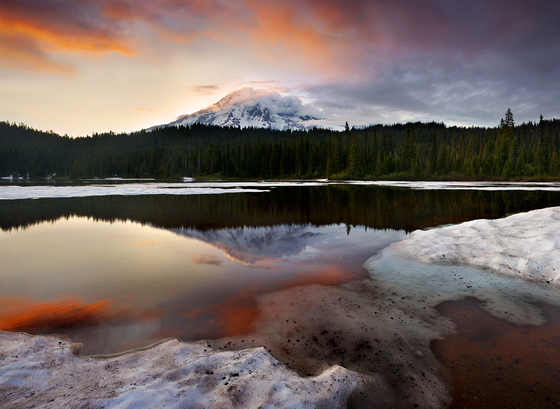 Mt. Rainier National Park