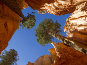 Bryce Canyon