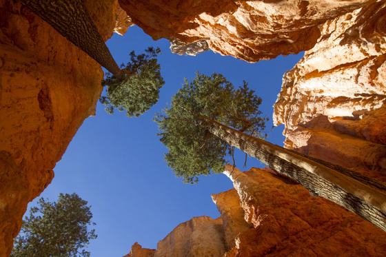Bryce Canyon