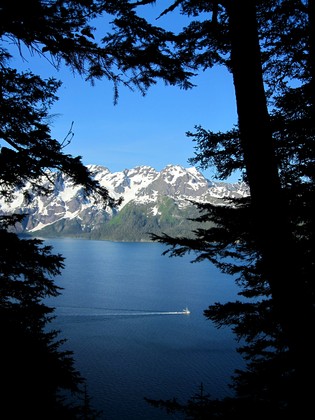 Kenai Fjords National Park